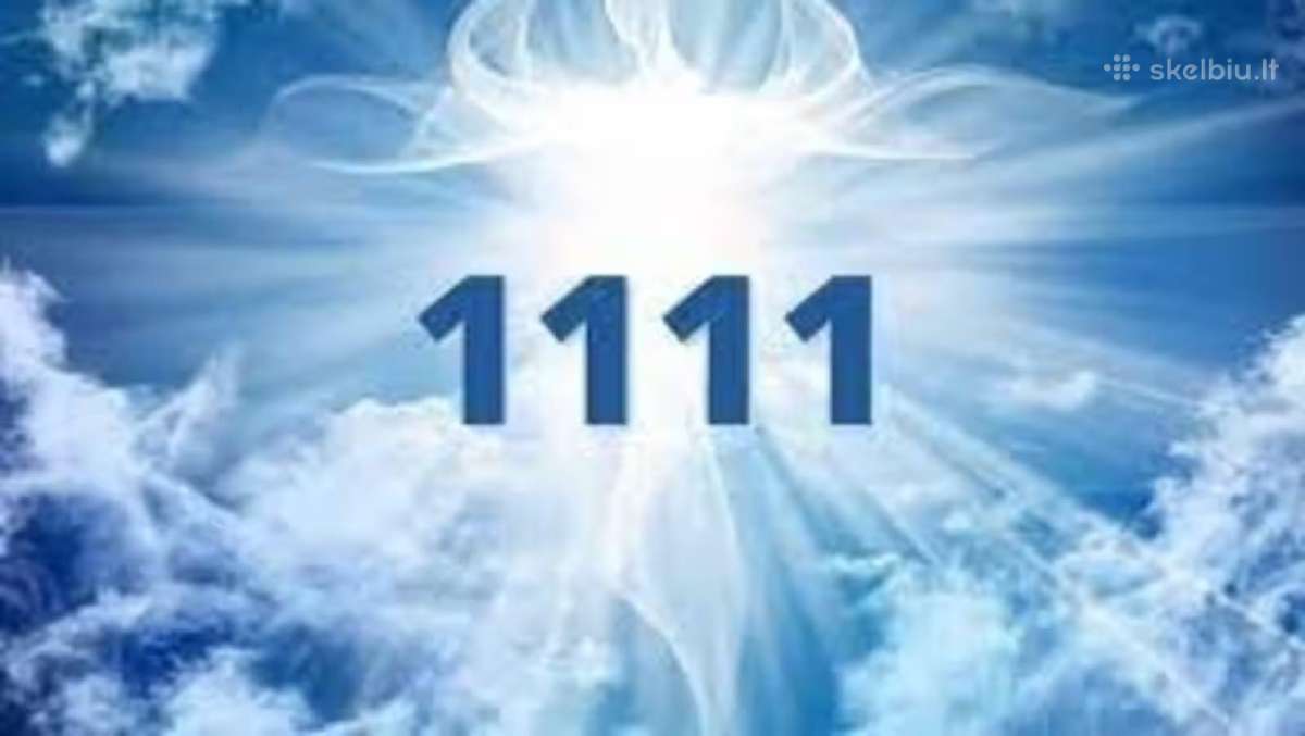 Įsimintinas VIP numeris 09x 11111