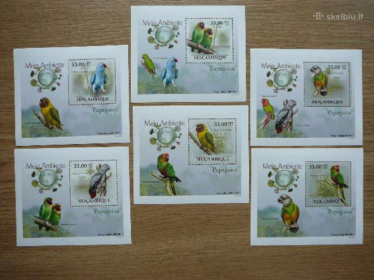 Papugos Pauksciai Mozambikas 2010 Mnh mb299