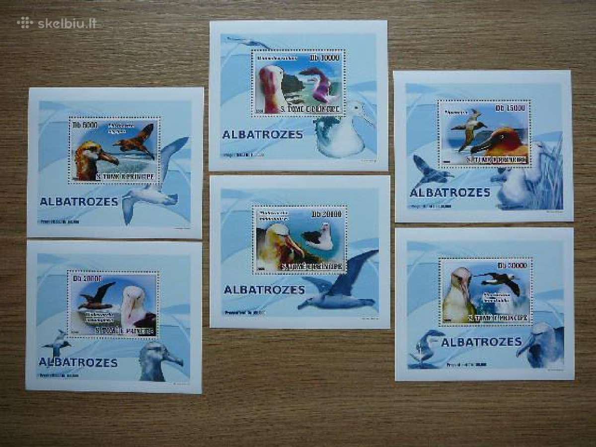 Albatrosai Pauksciai S. Tome 2008 svarus st293