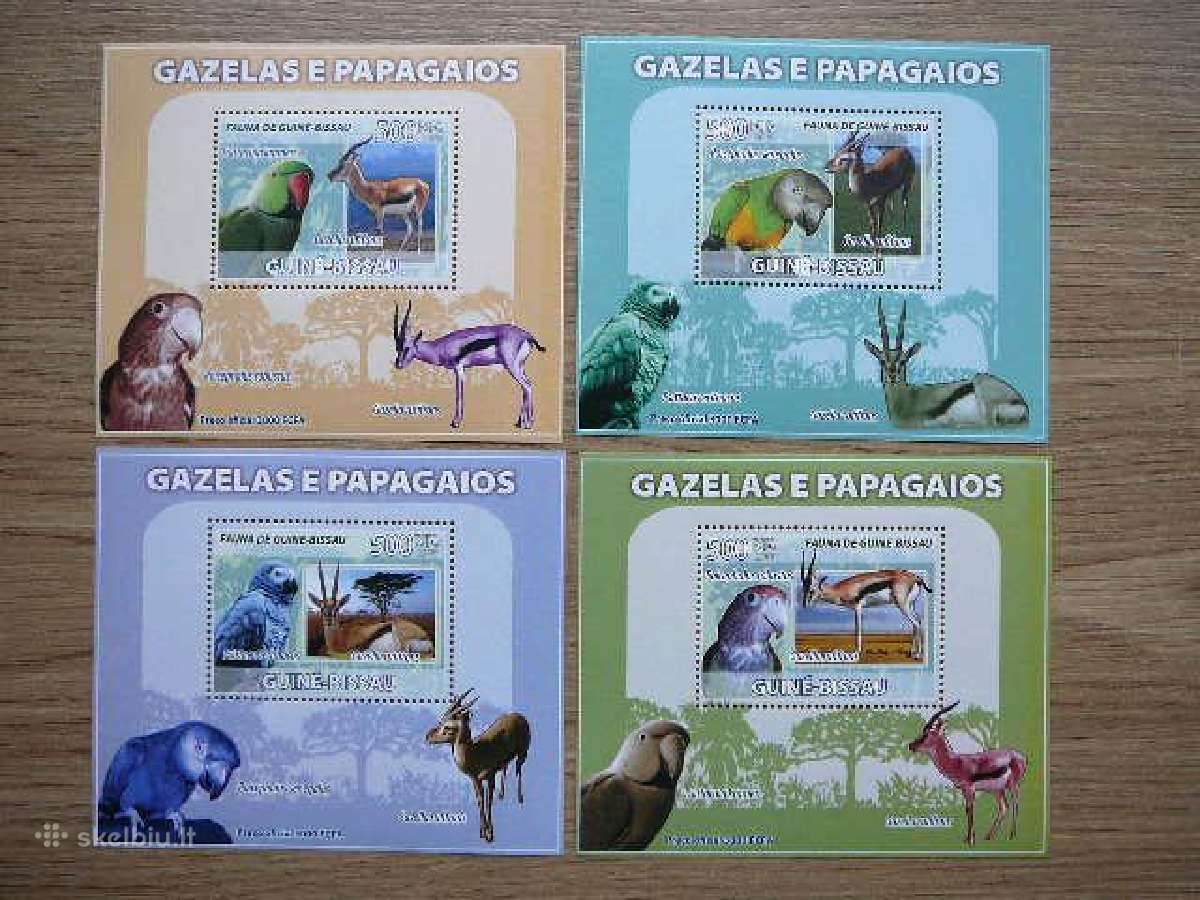 Papugos Pauksciai Gvineja Bisau 2008 svarus gbs308