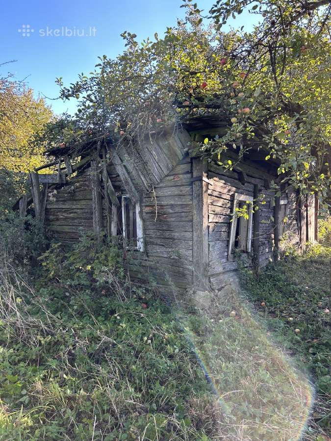 Griovimo ir demontavimo darbai - nuotraukos Nr. 14