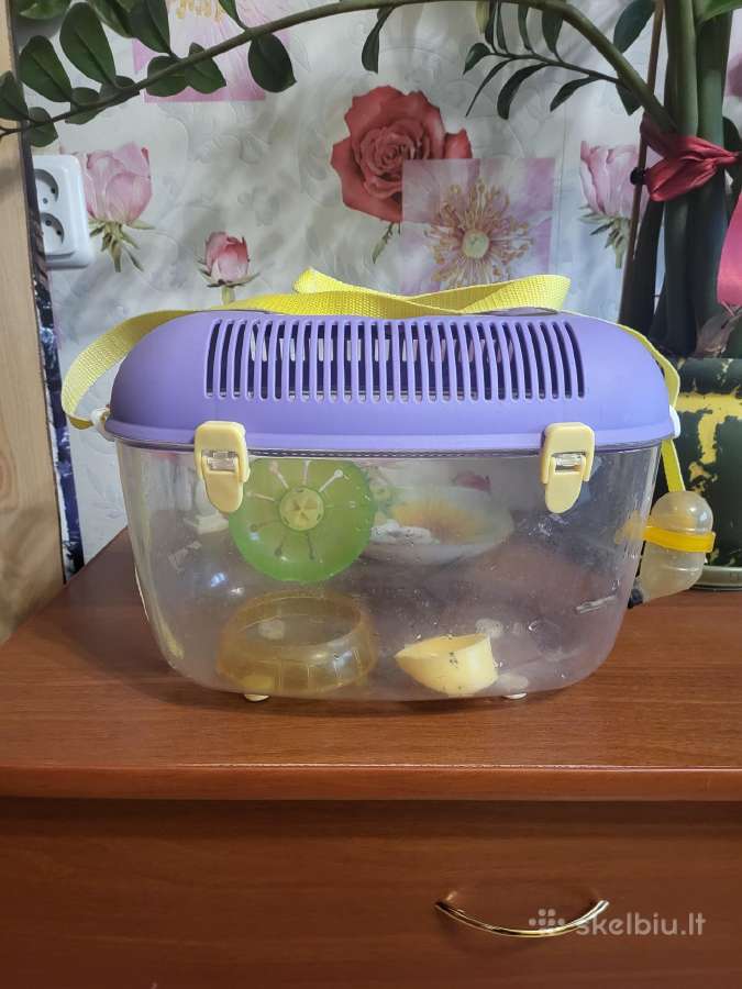 Graužiko transportavimo dėžutė
