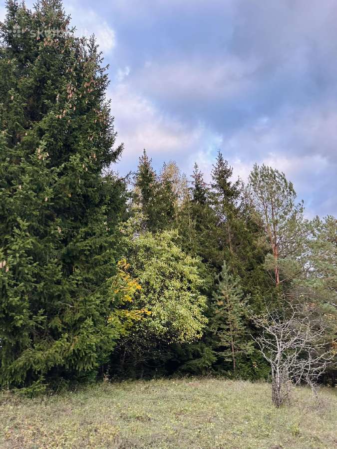 Sklypas Vilniaus rajone - nuotraukos Nr. 5
