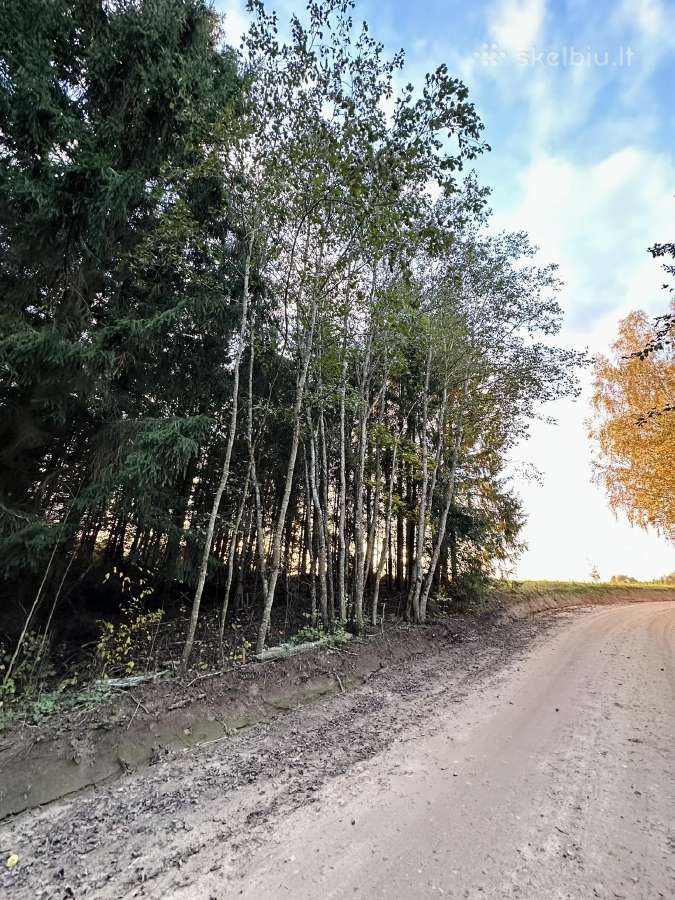 Sklypas Vilniaus rajone - nuotraukos Nr. 6
