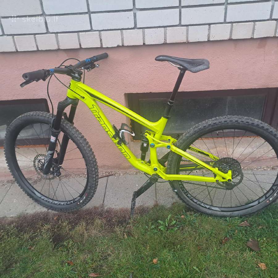 Dviratis Transition Scout