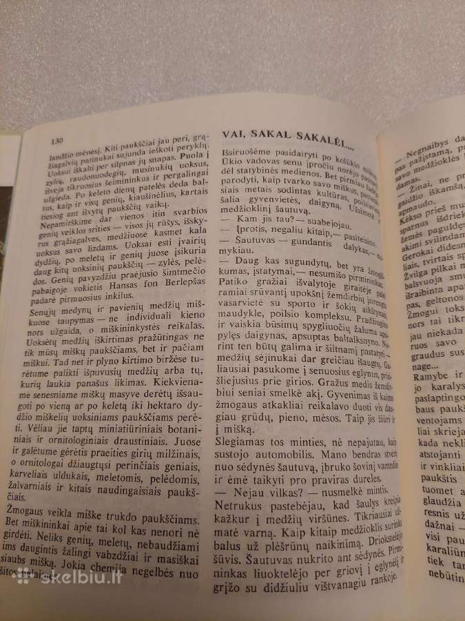Miško pasaulis - nuotraukos Nr. 4