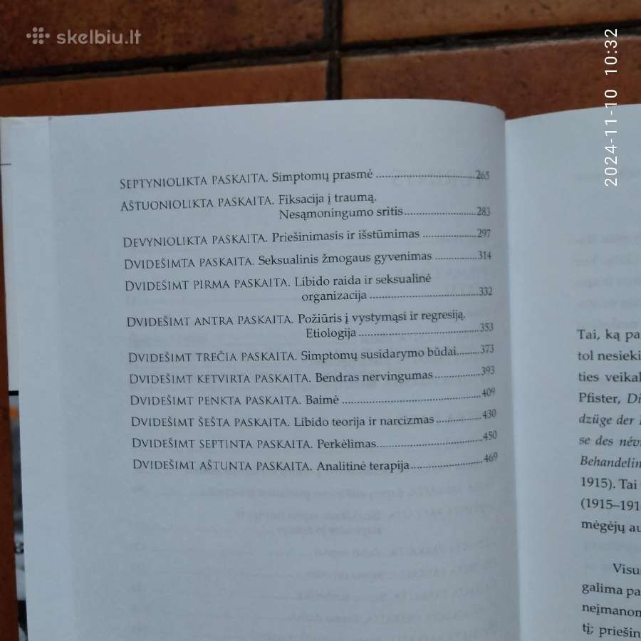 S. Freud "Psichoanalizės įvadas" 2009 metai - nuotraukos Nr. 5