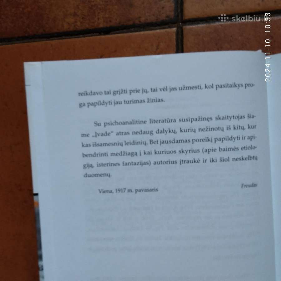S. Freud "Psichoanalizės įvadas" 2009 metai - nuotraukos Nr. 7