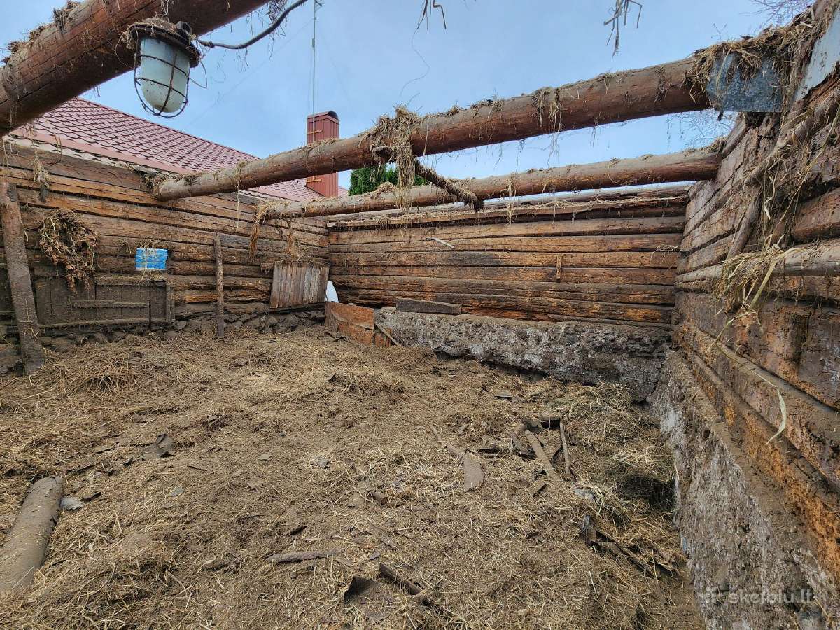 Griovimo, aplinkos tvarkymo darbai - nuotraukos Nr. 2