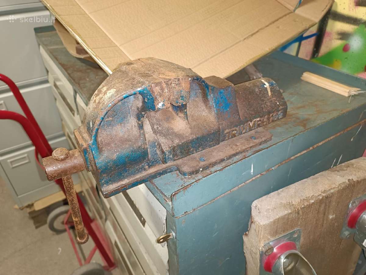 Triumph 100 laiko patikrinti tvirti vok.spaustuvai