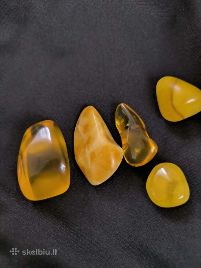 Jūrinis Gintaras 36 gr