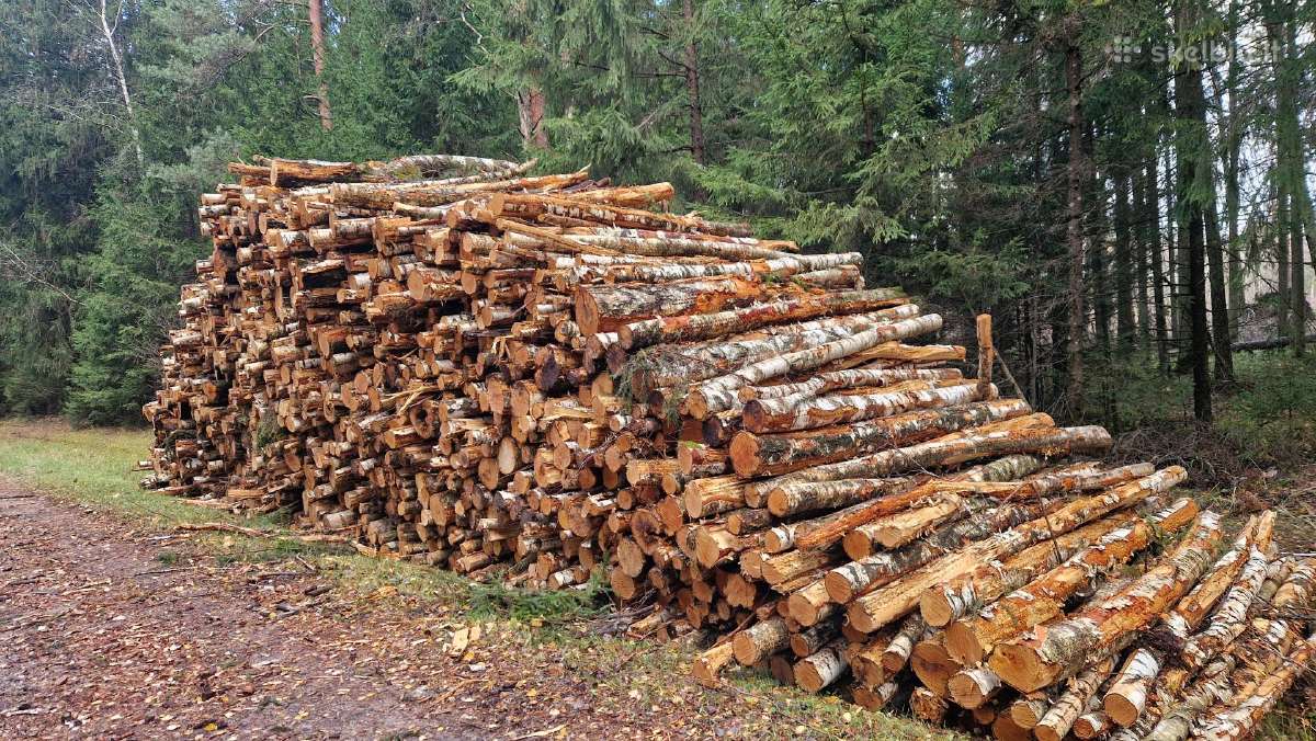 Malkos rąsteliais po 3 metrus, eglės rąstai po 6m - nuotraukos Nr. 3
