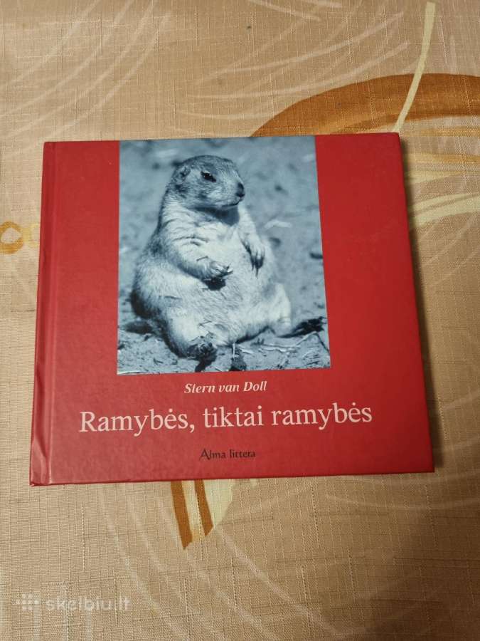 Ramybės , tiktai ramybės