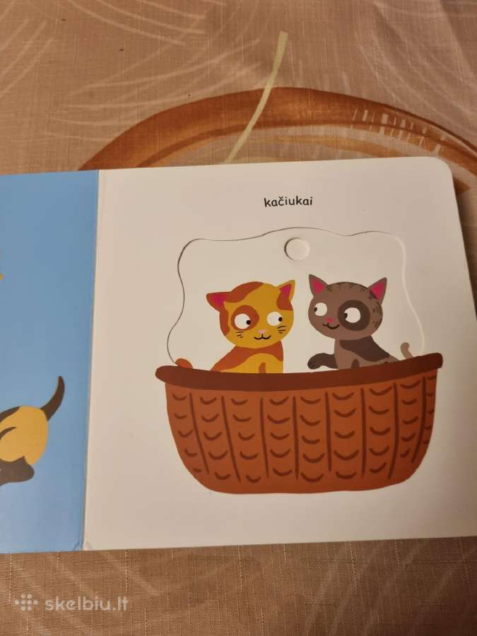 Žaidžiu ir mokausi , gyvūnų jaunikliai - nuotraukos Nr. 5