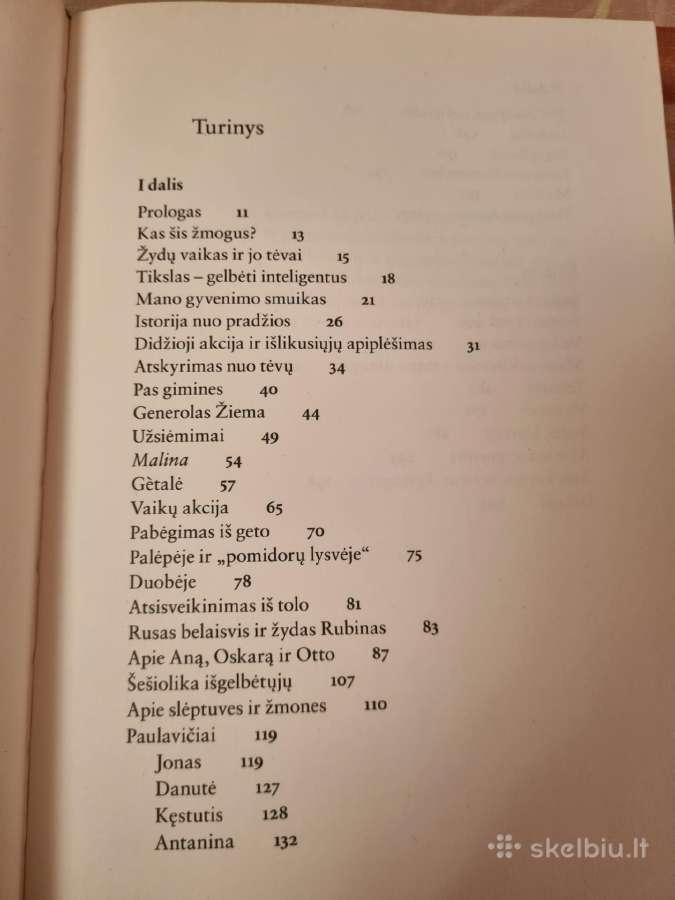 Berniukas su smuiku - nuotraukos Nr. 3