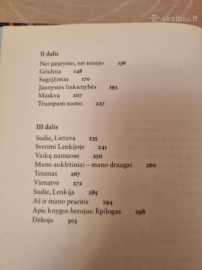 Berniukas su smuiku - nuotraukos Nr. 4