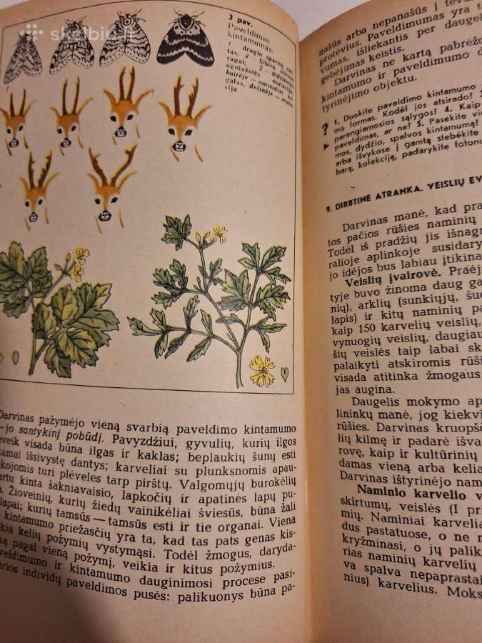 Bendroji biologija - nuotraukos Nr. 5