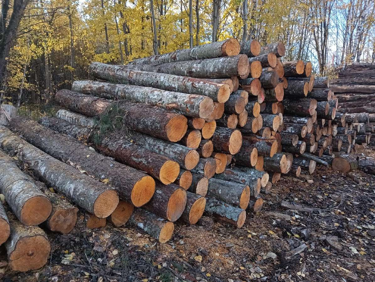 Įvairios malkos visų rūšių skaldytos 3 m gražios - nuotraukos Nr. 7