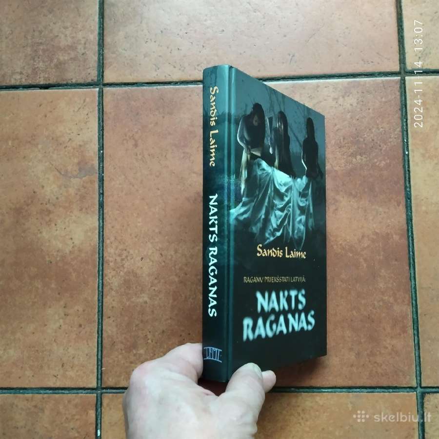 Sandis Laime "Nakts raganas" 2013 metai - nuotraukos Nr. 2