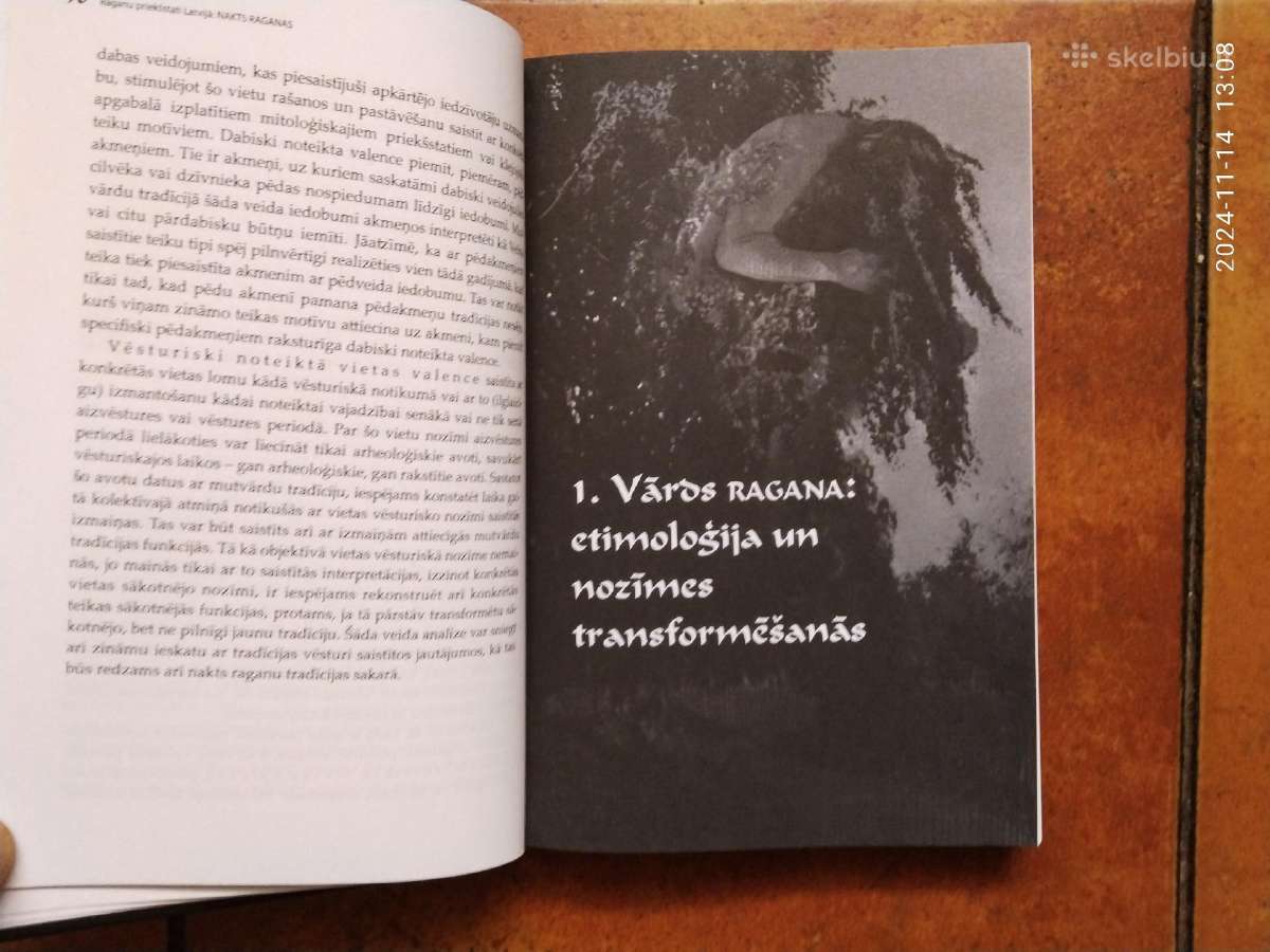 Sandis Laime "Nakts raganas" 2013 metai - nuotraukos Nr. 8