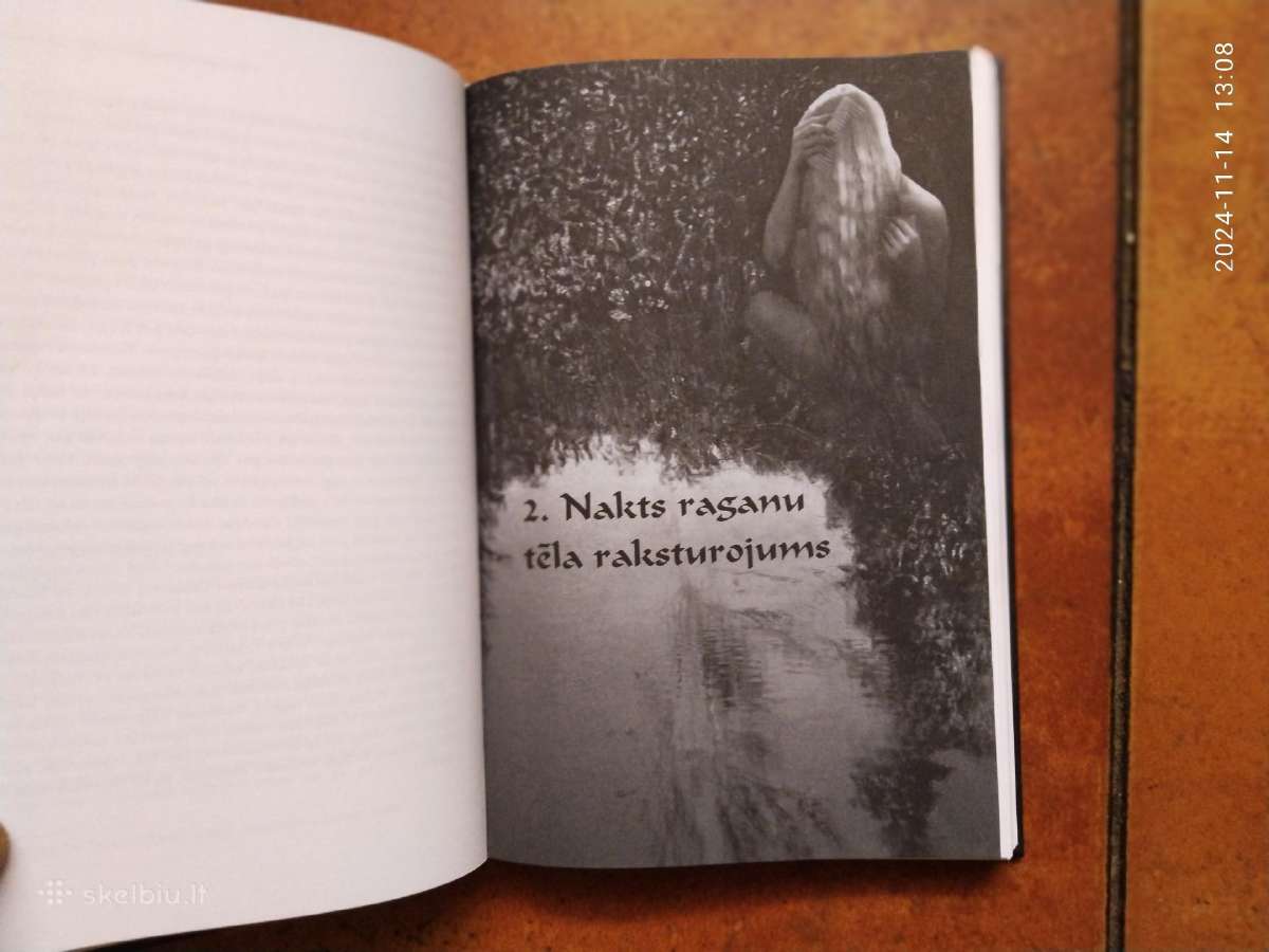 Sandis Laime "Nakts raganas" 2013 metai - nuotraukos Nr. 9