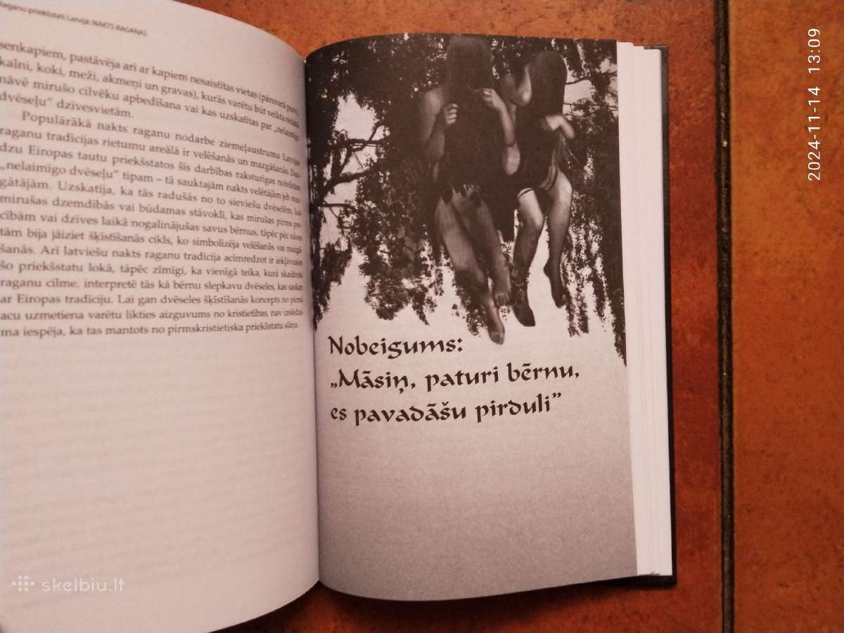 Sandis Laime "Nakts raganas" 2013 metai - nuotraukos Nr. 14