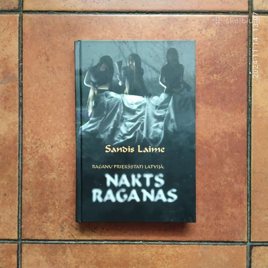 Sandis Laime "Nakts raganas" 2013 metai