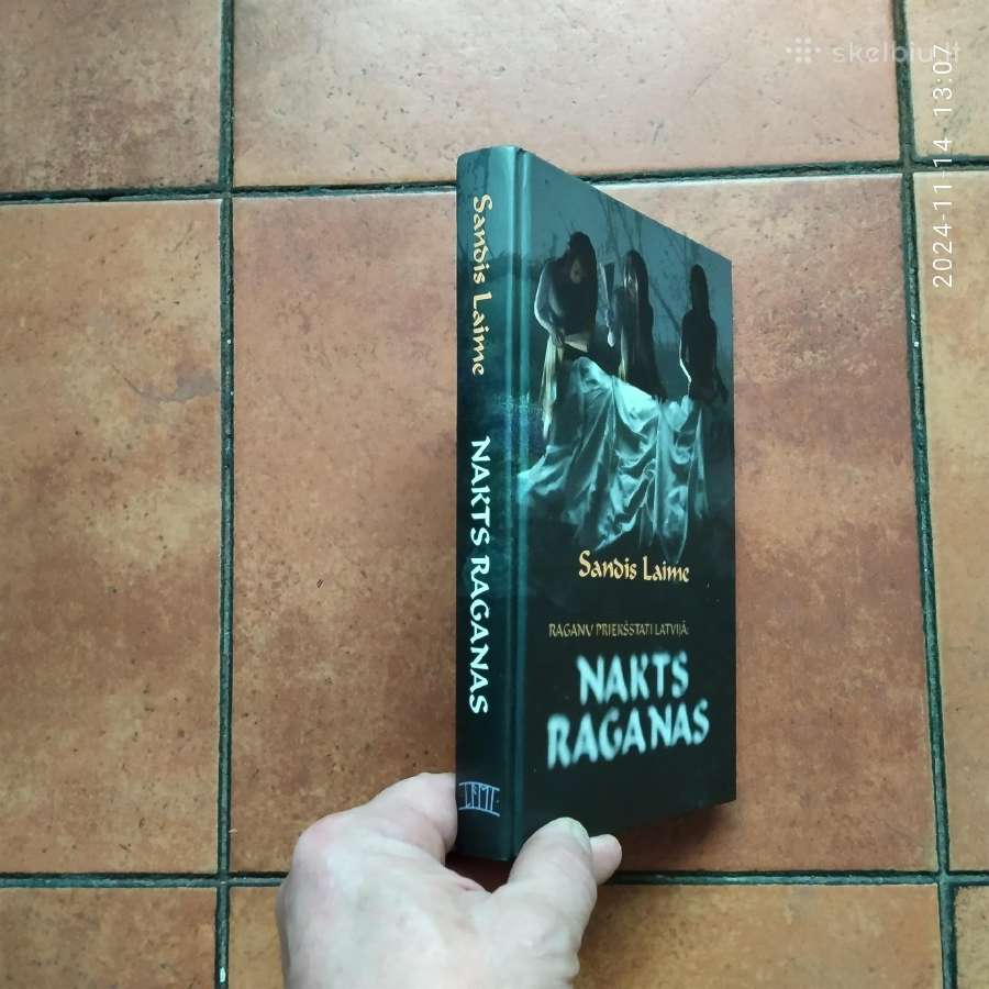 Sandis Laime "Nakts raganas" 2013 metai - nuotraukos Nr. 2