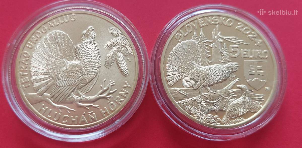 Slovakija 2024m 5 € Kurtinys Unc