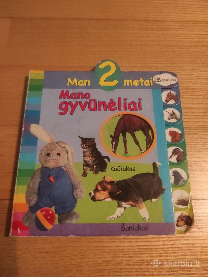 Vaikiška knygelė