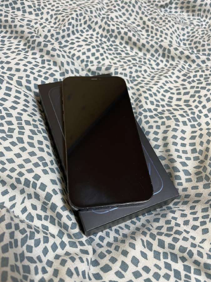 iPhone 12 Pro Max - nuotraukos Nr. 3