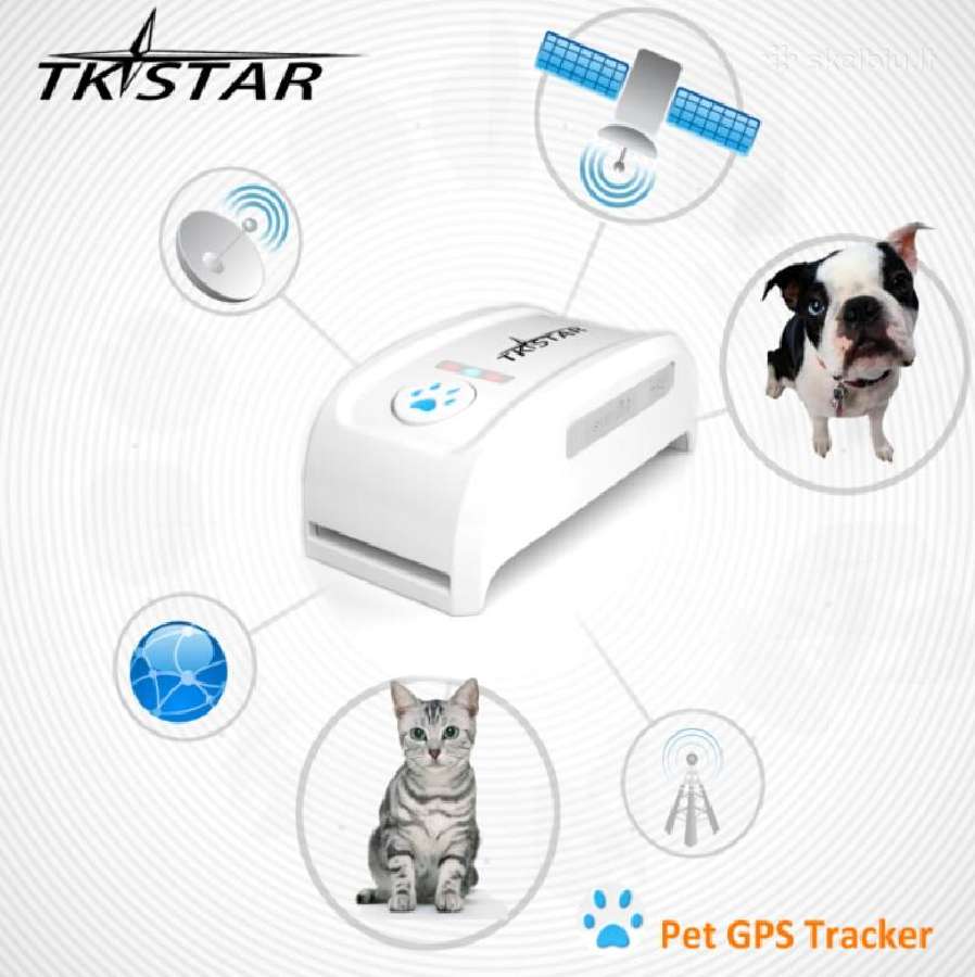 GPS antkaklis augintiniui Tkstar Tk909 - nuotraukos Nr. 8