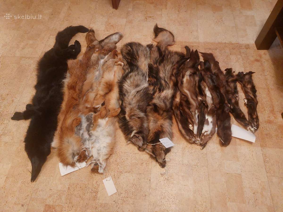 Parduodami lapes,usurinio,audines kailiai