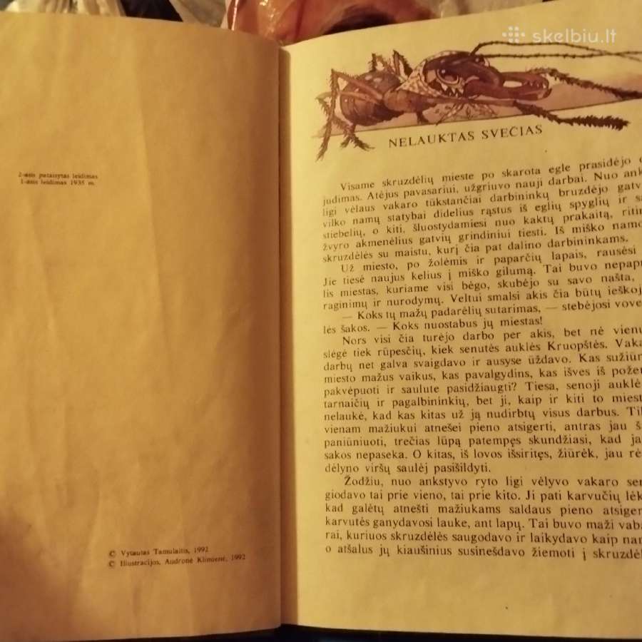 Skruzdelytes nuotykiai - nuotraukos Nr. 3