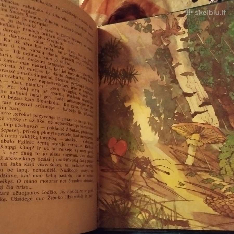 Skruzdelytes nuotykiai - nuotraukos Nr. 5