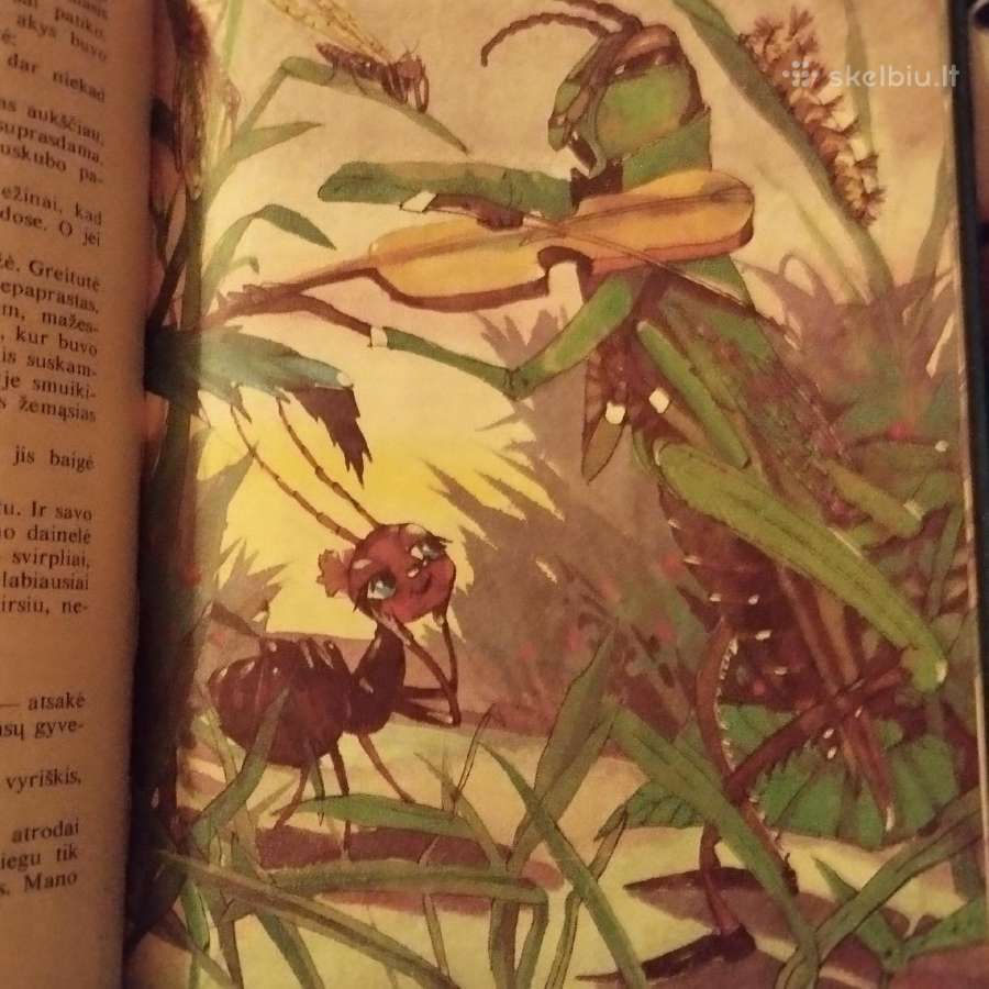 Skruzdelytes nuotykiai - nuotraukos Nr. 6