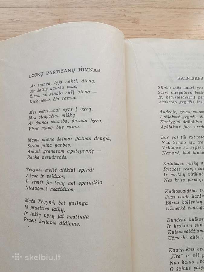 Knyga "Sušaudytos dainos" - nuotraukos Nr. 4