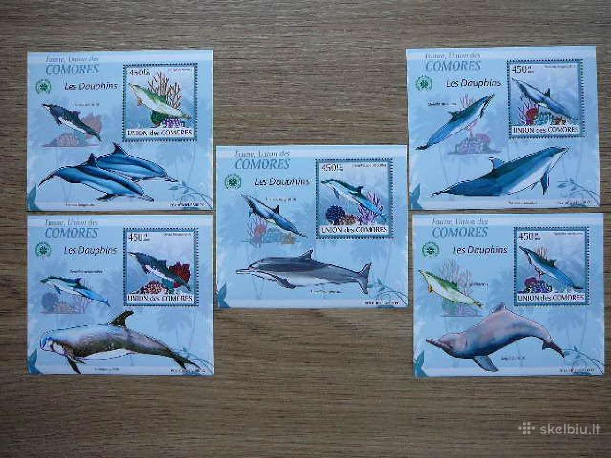 Delfinai Koralai Komorai 2009 svarus kmr539