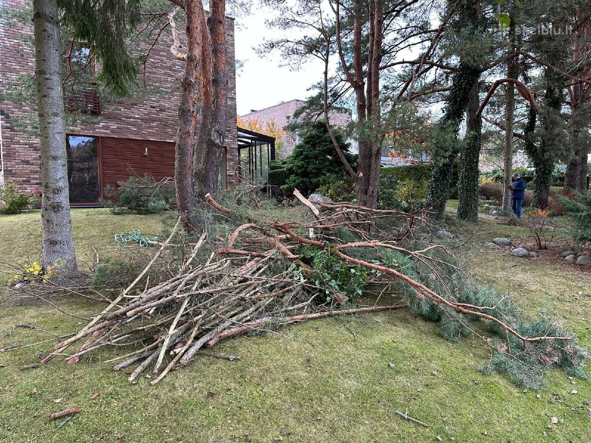 Ko gero pigiausias senų baldų/šiukšlių išvežimas - nuotraukos Nr. 4