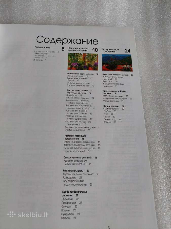 1000 прекрасных растений в вашем доме - nuotraukos Nr. 3