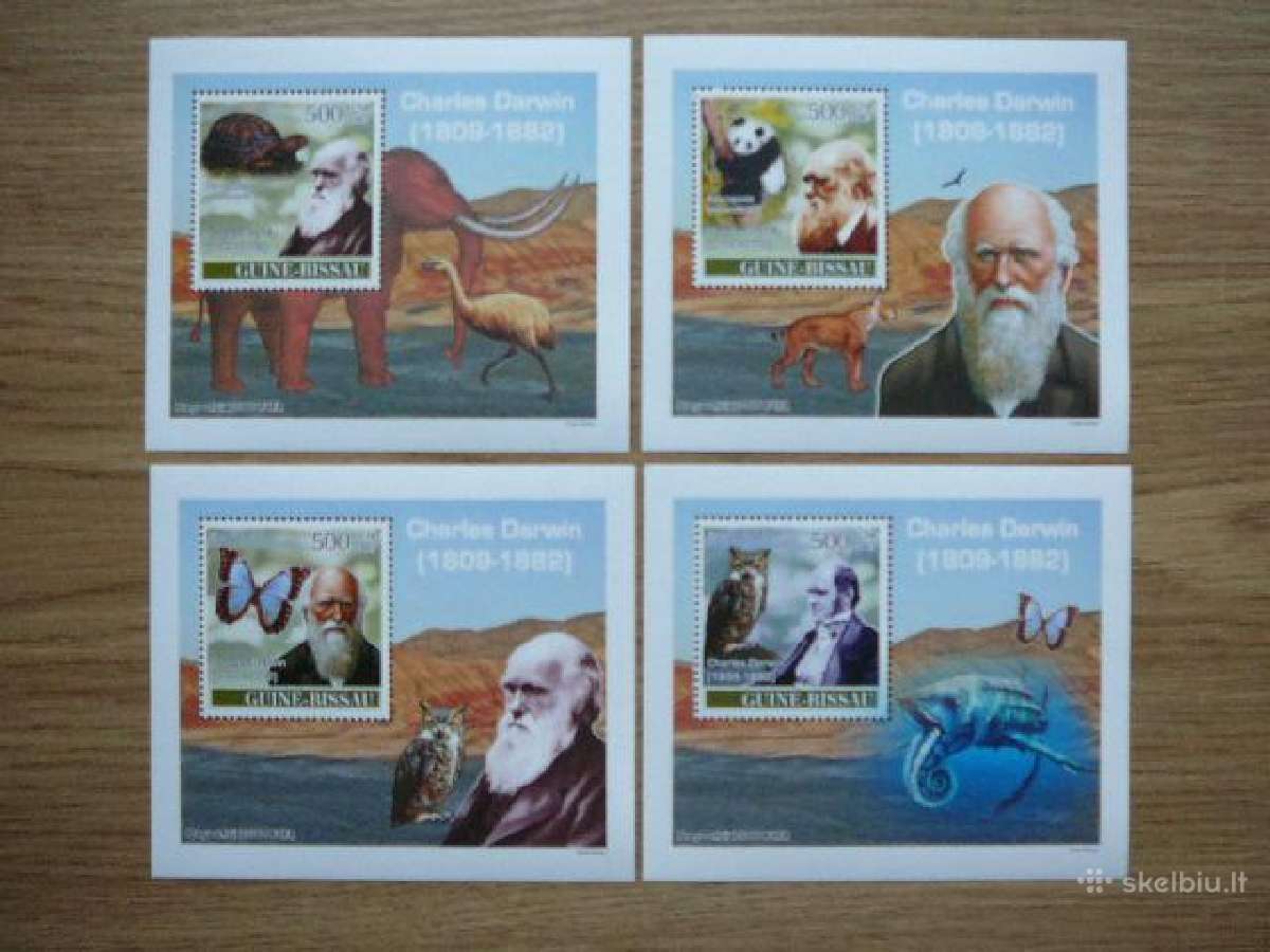 Izymus zmones Darvinas Fauna Bisau Gv. 2007 gb228
