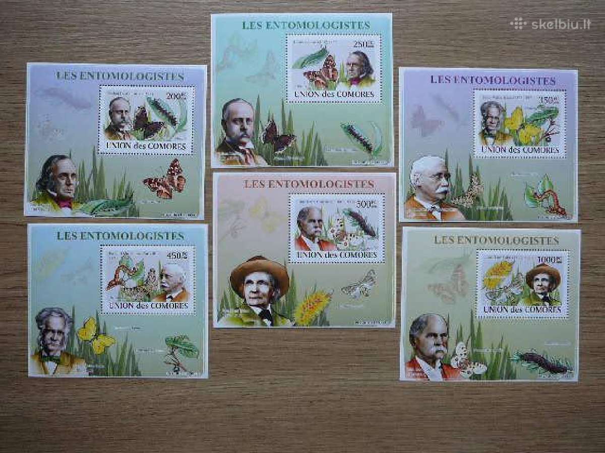 Drugeliai Viksrai Komorai 2008 svarus cmr230