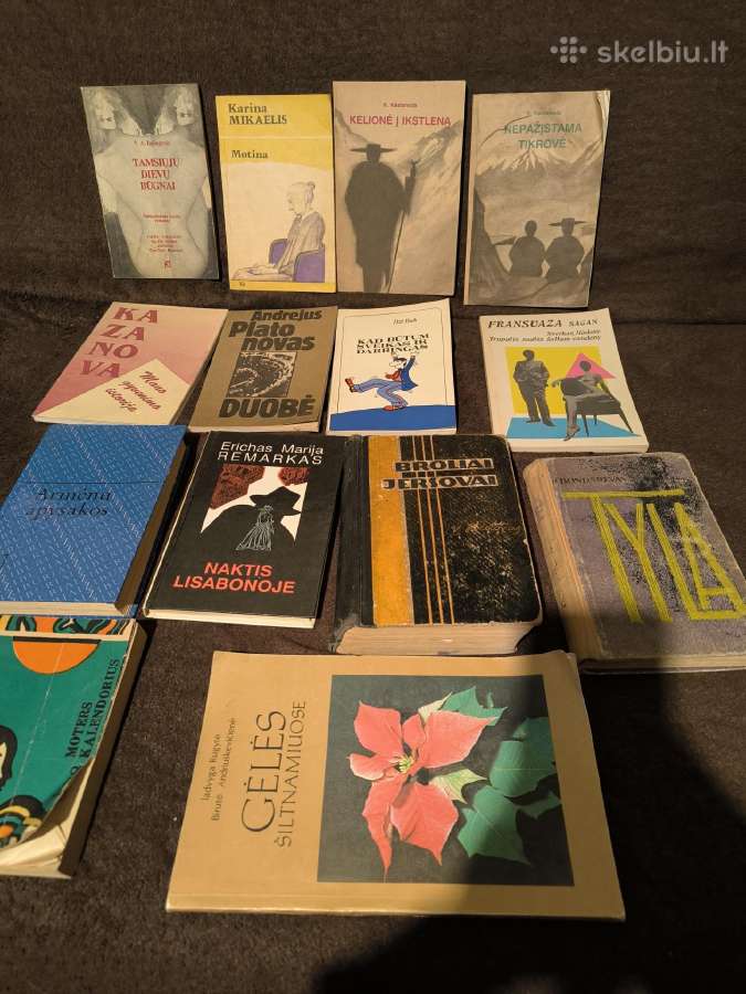 Daug knygų,taip pat ir kitas rinkinys/serij - nuotraukos Nr. 11