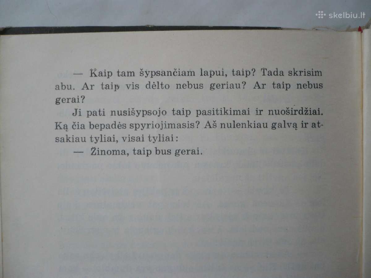 A . Upytis - Šypsantis lapas - nuotraukos Nr. 3