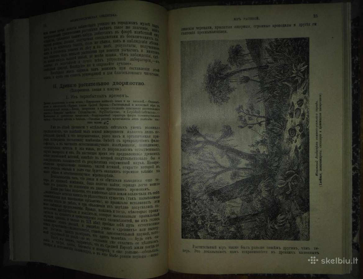 2063. Популярныя Лекцiи По Астрономiи К. Фламмарiо - nuotraukos Nr. 12