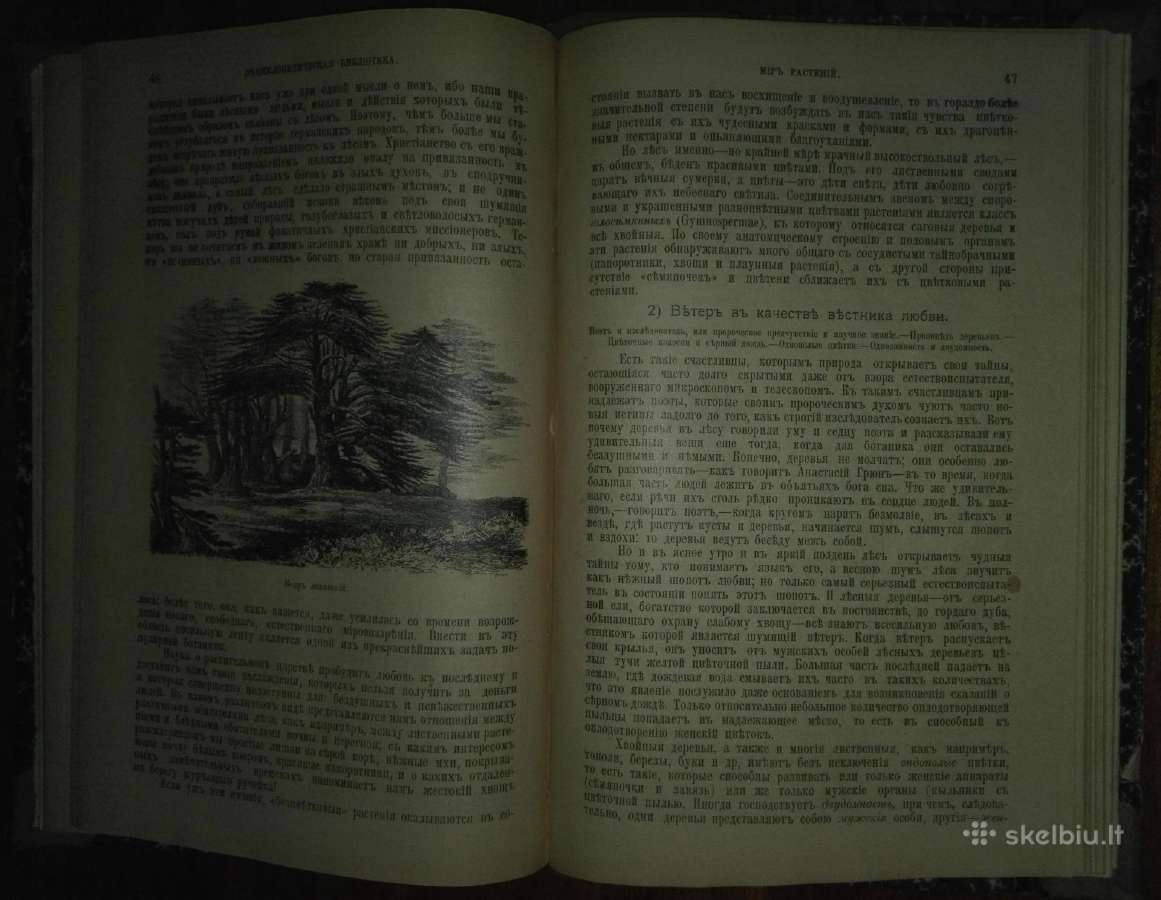 2063. Популярныя Лекцiи По Астрономiи К. Фламмарiо - nuotraukos Nr. 14