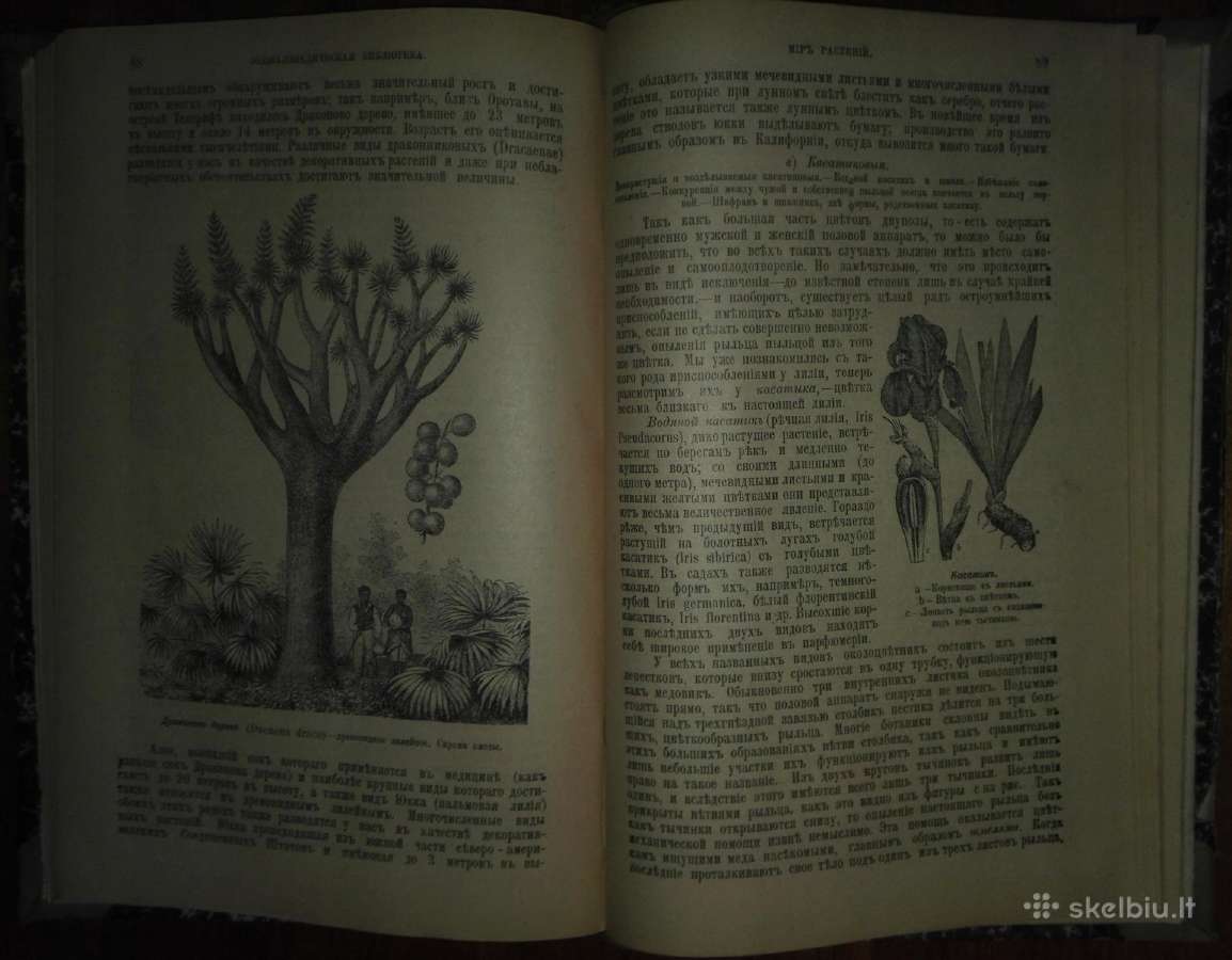 2063. Популярныя Лекцiи По Астрономiи К. Фламмарiо - nuotraukos Nr. 15