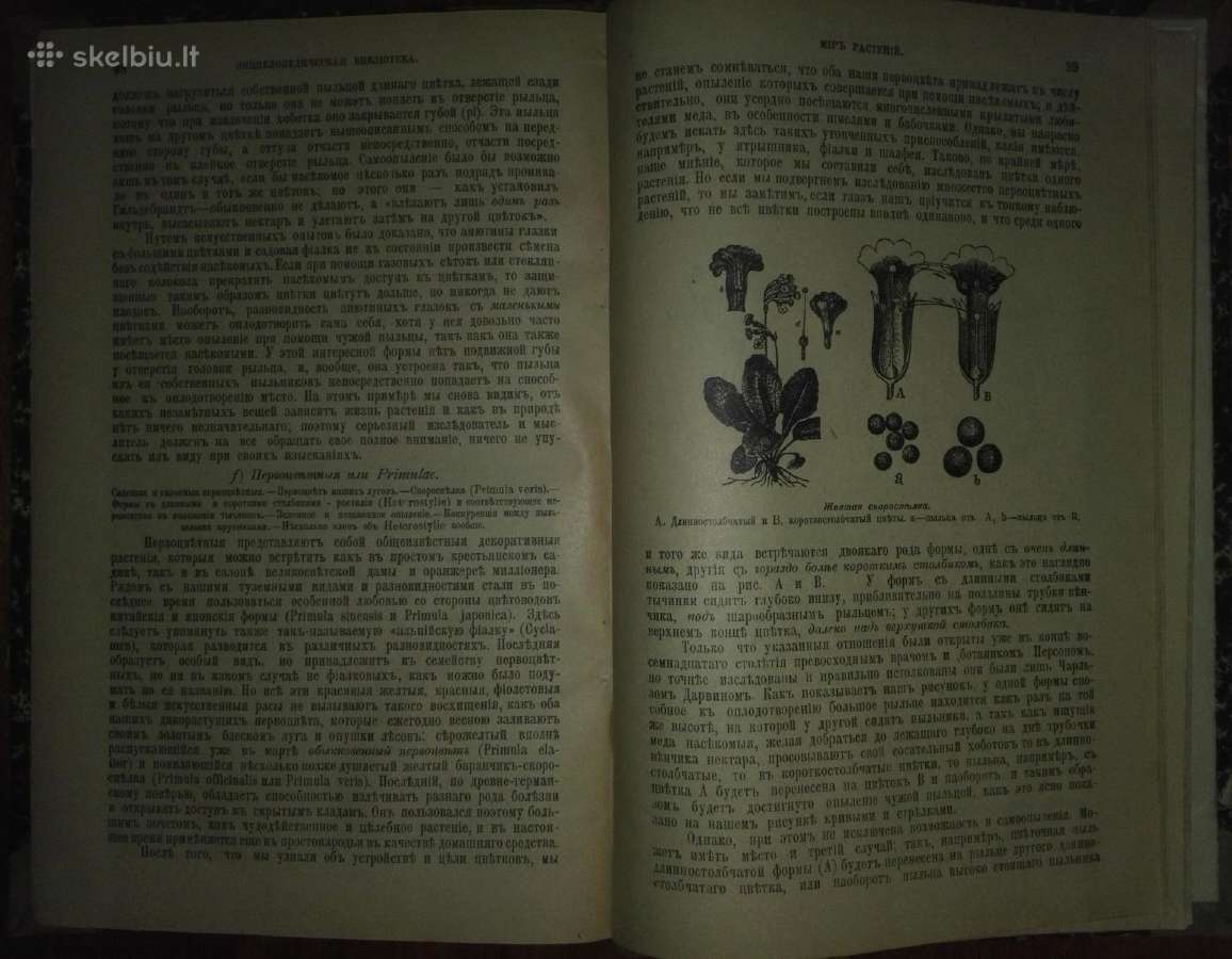 2063. Популярныя Лекцiи По Астрономiи К. Фламмарiо - nuotraukos Nr. 16