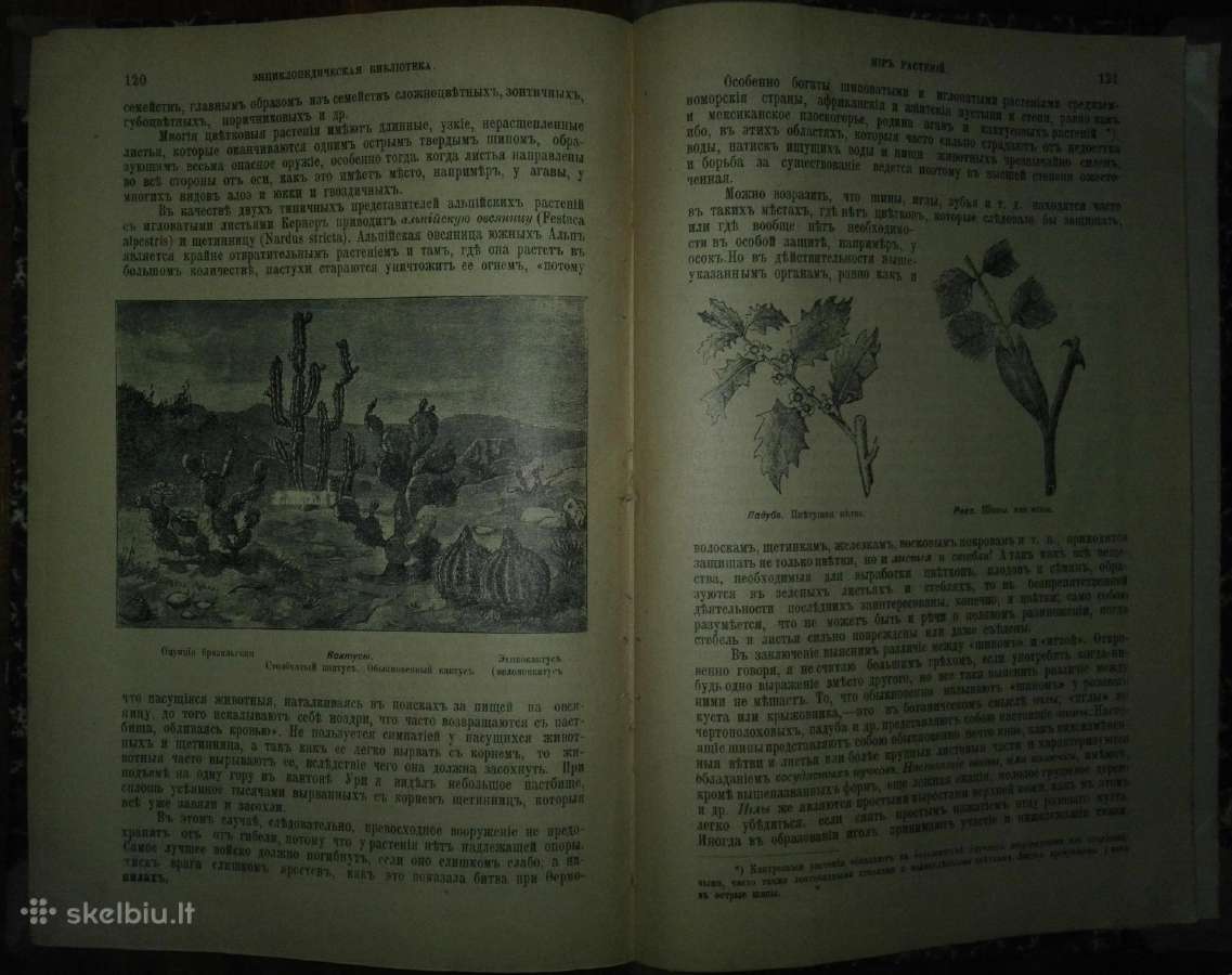 2063. Популярныя Лекцiи По Астрономiи К. Фламмарiо - nuotraukos Nr. 17