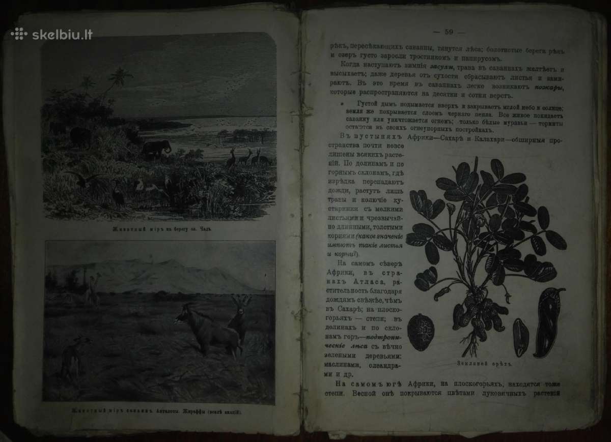 2065. Начальный Курсъ Географiи Творческая Эволюцi - nuotraukos Nr. 6